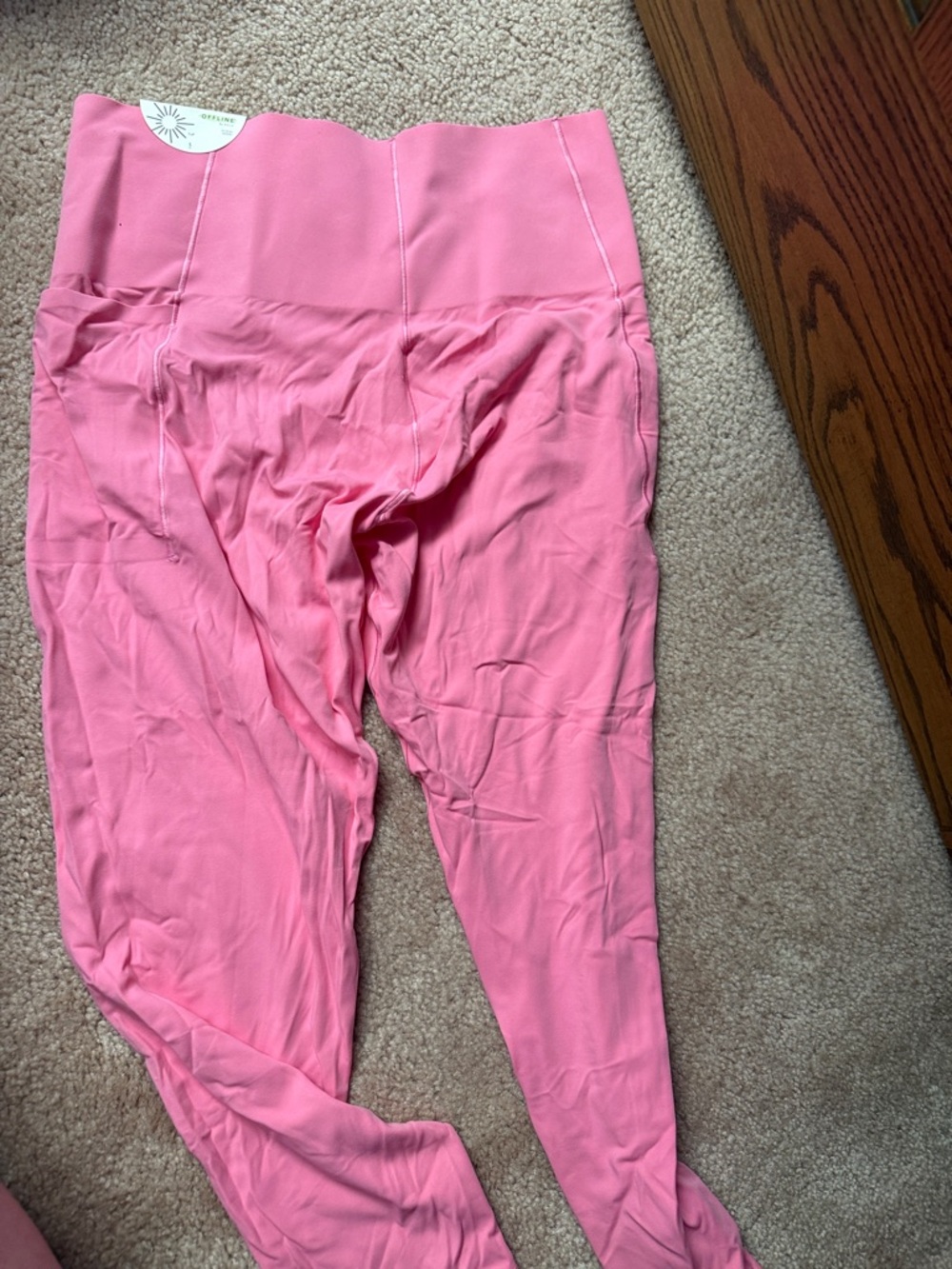 aerie Hot Pink High-Rise Leggings (in L Short)